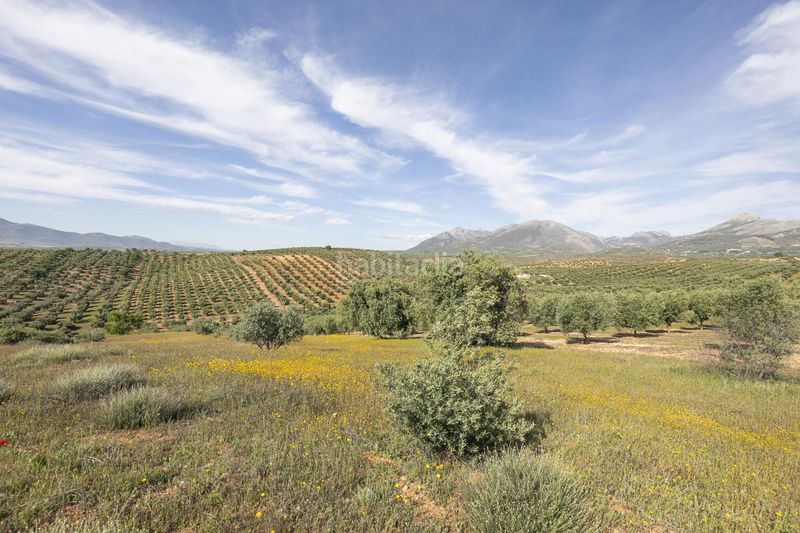 Foto e73b83a2-c44e-47ef-86f0-a0766d142e47. Finca rústica a Güevéjar
