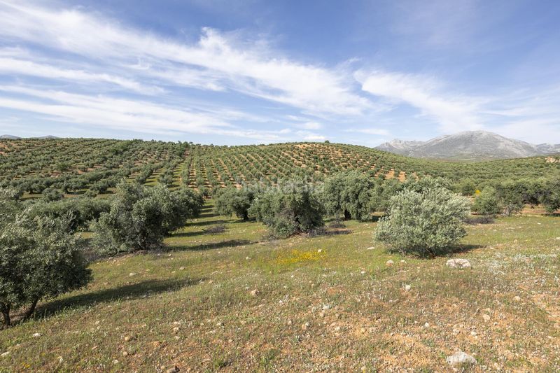 Foto e8c7439f-d522-4065-b411-5d0f61a7d1bb. Finca rústica a Güevéjar