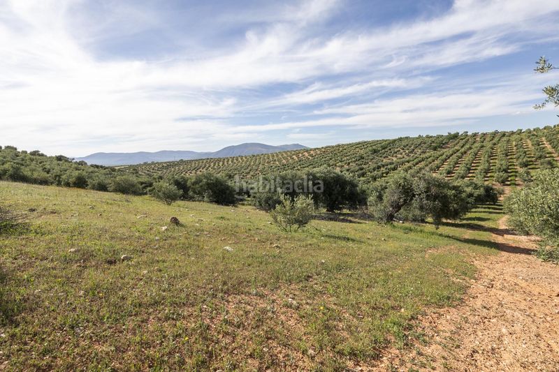 Foto ee74ab36-cbcd-4d36-a040-2c06ea82cbcc. Finca rústica a Güevéjar