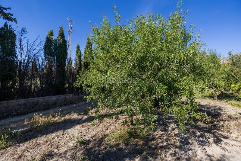 Foto 0b8b28c4-ea01-434e-aea0-dd4e0be0dd97. Finca rústica a Dúrcal