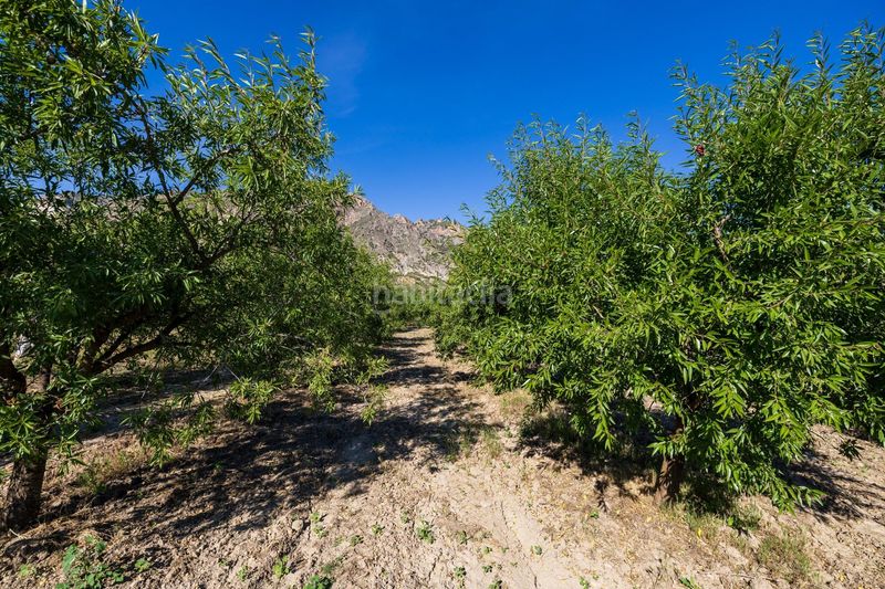 Foto 0d02a7ec-e835-4190-8c92-4cc476128636. Finca rústica a Dúrcal