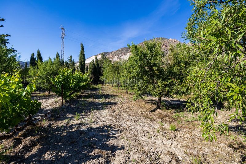 Foto 3b8dffb2-85ea-4317-8473-539e081dd076. Finca rústica a Dúrcal