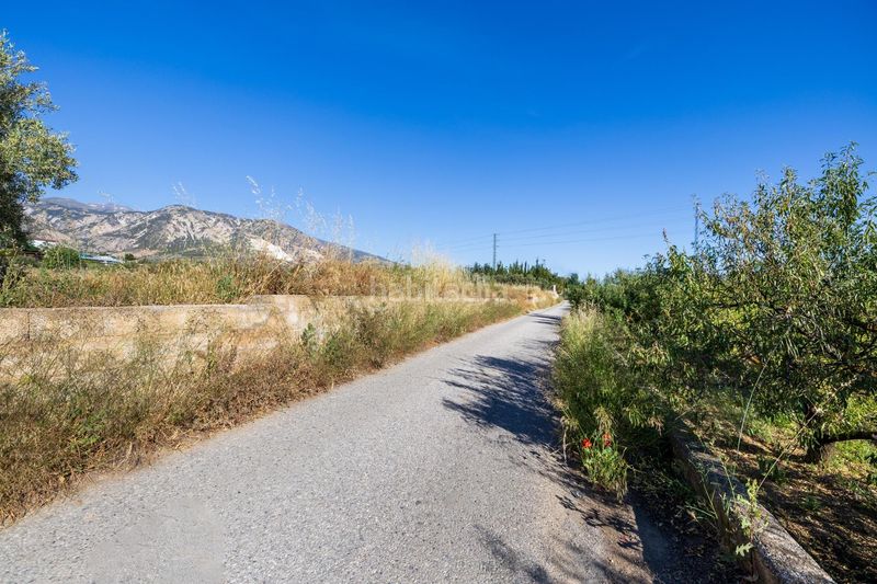 Foto ce23f254-d398-4dd3-a796-7dd7fd6a0df6. Finca rústica a Dúrcal
