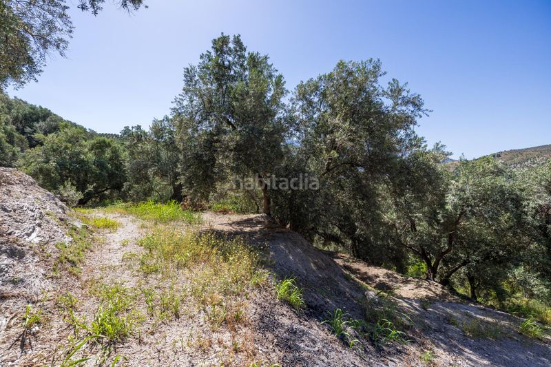 Foto 46ba937e-d292-4350-8145-01951e928447. Finca rústica a Lanjarón
