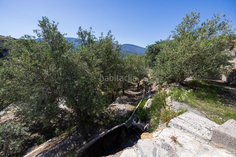 Foto 58013c7d-3990-40fa-b283-64585bd60480. Finca rústica a Lanjarón