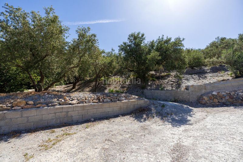 Foto 5fb7f94e-e32d-4719-b953-5e9b6672a777. Finca rústica a Lanjarón