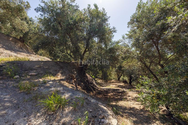 Foto 6d85882e-e0fd-43a0-8325-b8e0bbc36020. Finca rústica a Lanjarón