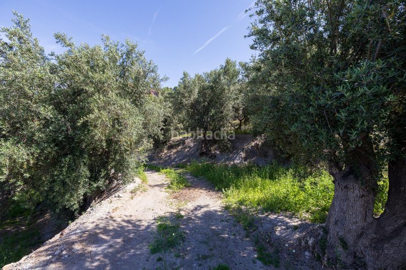 Foto c4812f30-ecf0-49bb-8d0b-114203bd51c7. Finca rústica a Lanjarón
