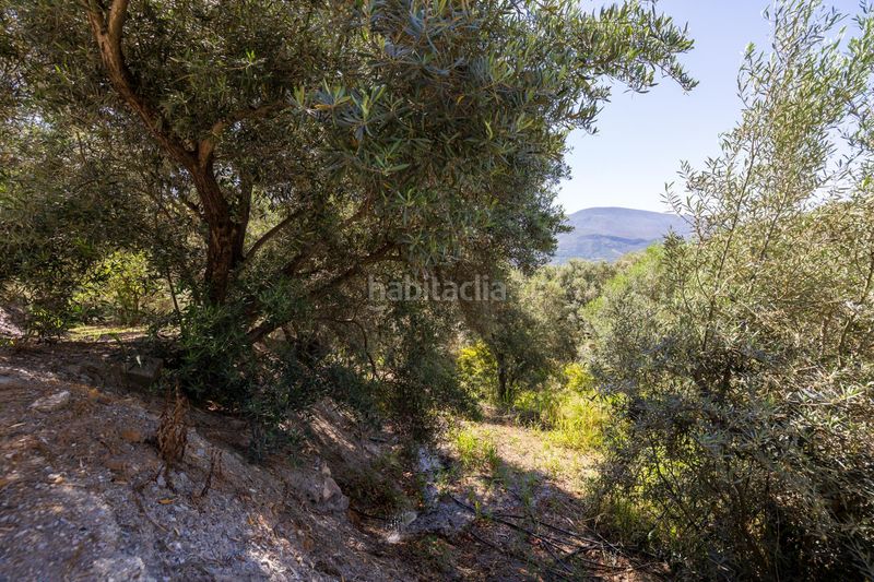 Foto d56d21cf-daeb-4657-a36d-f3dcd63ab3b2. Finca rústica a Lanjarón