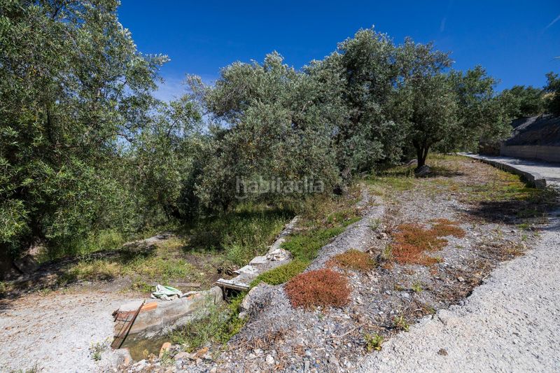 Foto d9a606a3-28be-4dad-98a9-404e8410a98d. Finca rústica a Lanjarón