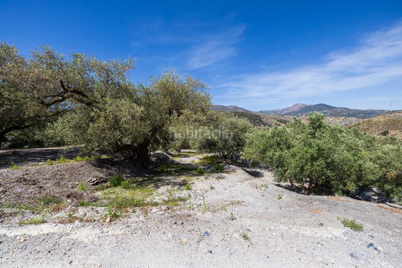 Foto fa8e397f-4dee-4455-ae48-c066265cdecd. Finca rústica a Lanjarón