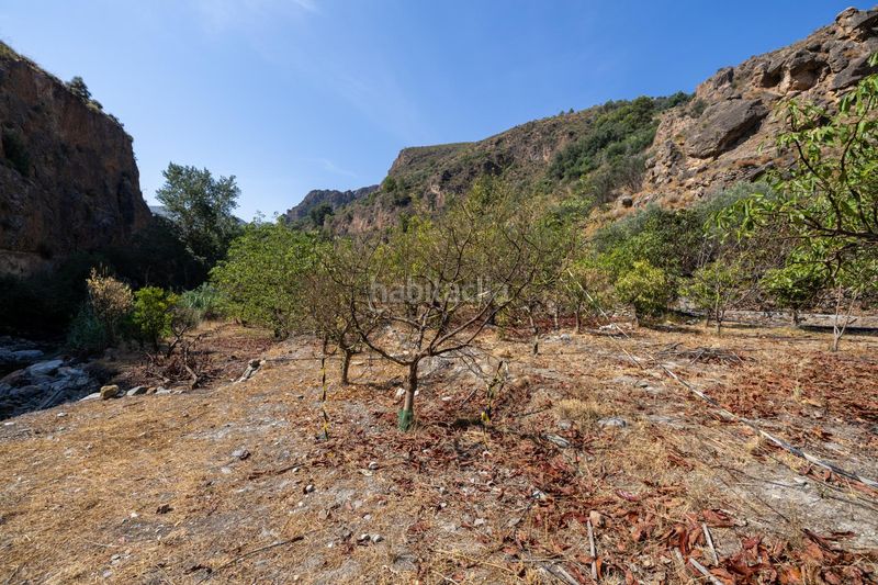 Foto 0fb61577-1a89-4cce-a054-26e994628793. Finca rústica a Pinar (El)
