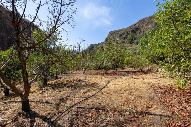 Foto 8db69528-3953-4e8e-9e47-970a3cda43c5. Finca rústica a Pinar (El)
