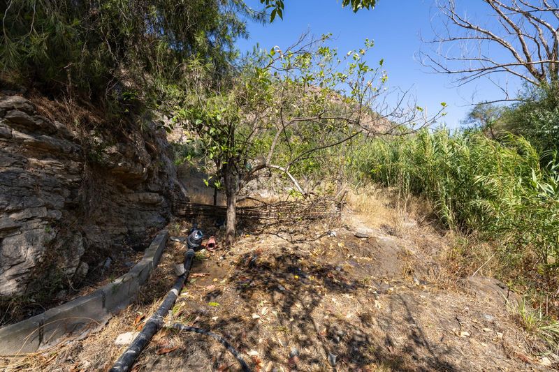 Foto 9b8428ab-16cd-4798-ade2-ef147376be7d. Finca rústica a Pinar (El)