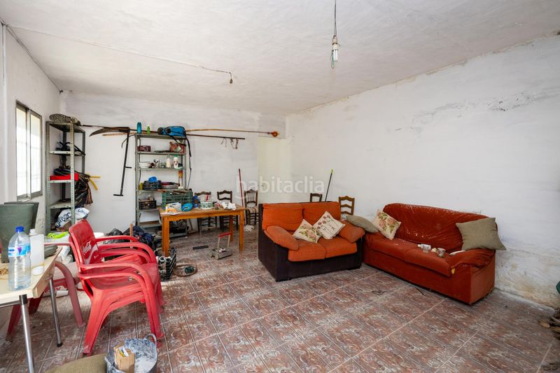 Foto ad13ecf2-4f10-4b10-a021-74fa7669b6f2. Finca rústica a Pinar (El)
