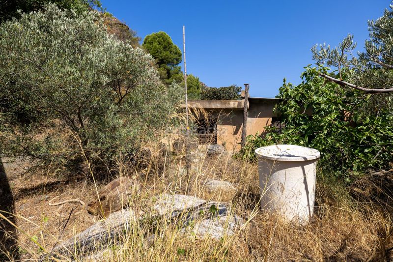 Foto c665ce78-79c0-41ee-800d-7c2fb815f584. Finca rústica a Pinar (El)