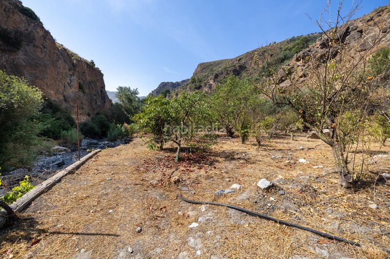 Foto cffde33e-86b1-470f-b929-fdae1ec227f6. Finca rústica a Pinar (El)