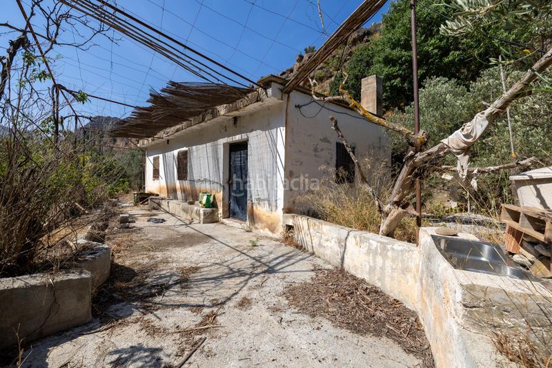 Foto ec1d8f82-46a2-4157-9fee-af64636a6c78. Finca rústica a Pinar (El)