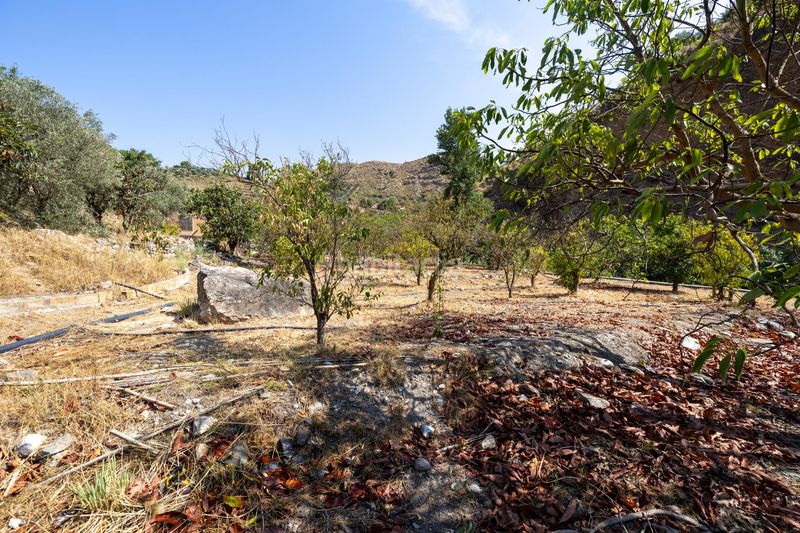 Foto fda71ea4-9327-4f01-b5c6-b95d063209bb. Finca rústica a Pinar (El)