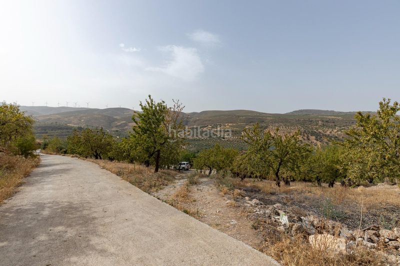 Foto 306b8354-b08c-492a-8cb5-88613c39a72f. Landgut in calle 18659 in Albuñuelas