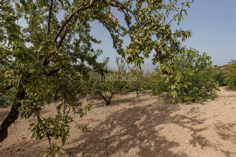 Foto 5f419809-e7cd-4354-85e4-9a06283b5110. Landgut in calle 18659 in Albuñuelas