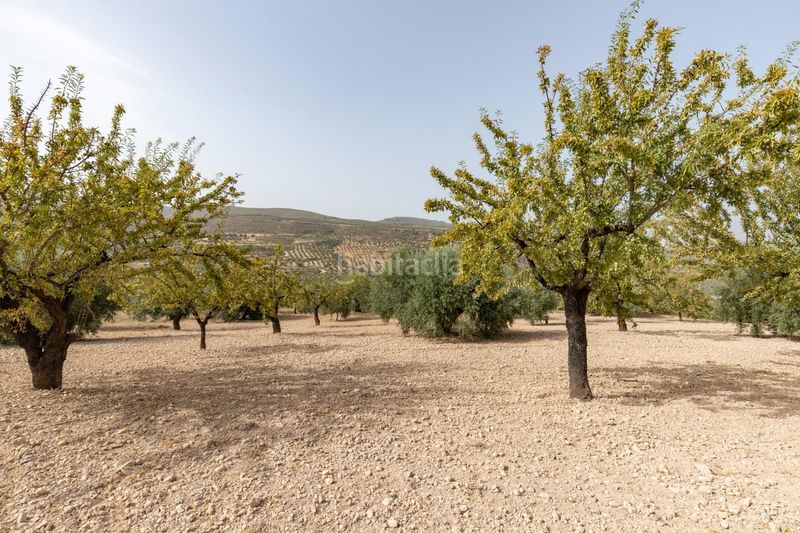 Foto bc2c8c0d-690b-4930-8839-4aa67c4f3136. Landgut in calle 18659 in Albuñuelas