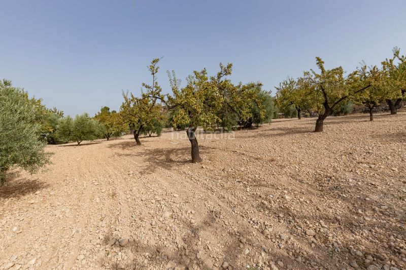 Foto d2d8cb88-ad87-495a-8309-8e8d99a25c72. Landgut in calle 18659 in Albuñuelas