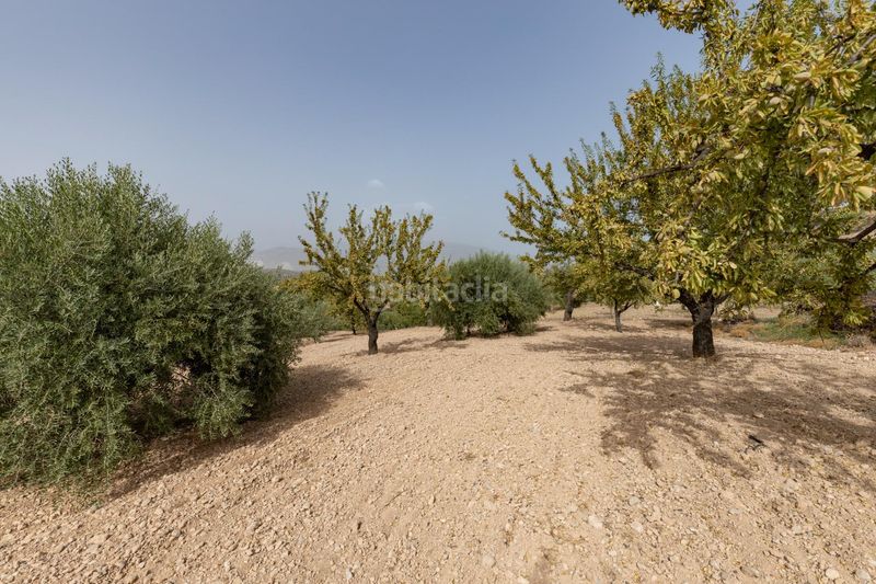 Foto ec01d672-a8d5-417a-9282-3892d05d9743. Landgut in calle 18659 in Albuñuelas