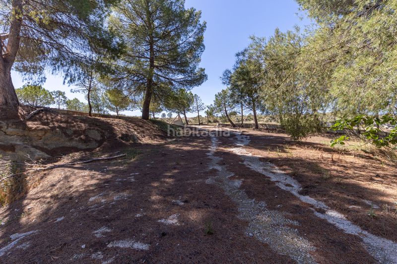 Foto f60f2c9f-7da8-474b-ad18-cafdf71779a8. Masia a Benamaurel