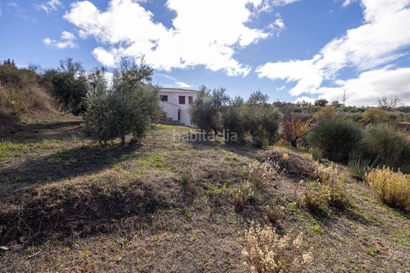 Foto c2cb09ce-4385-4889-9662-0246d12079c9. Terreny residencial a Nívar