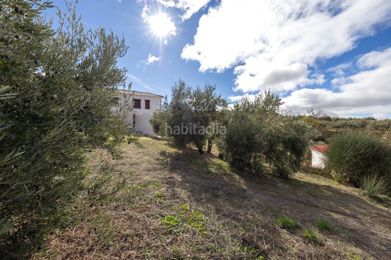 Foto d1d23bef-35ee-45bf-b7e3-701ee2031f56. Terreny residencial a Nívar