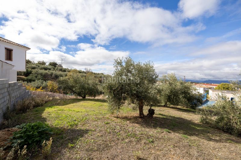 Foto fd2f8c91-2423-4a66-8dba-1220b9861b18. Terreny residencial a Nívar