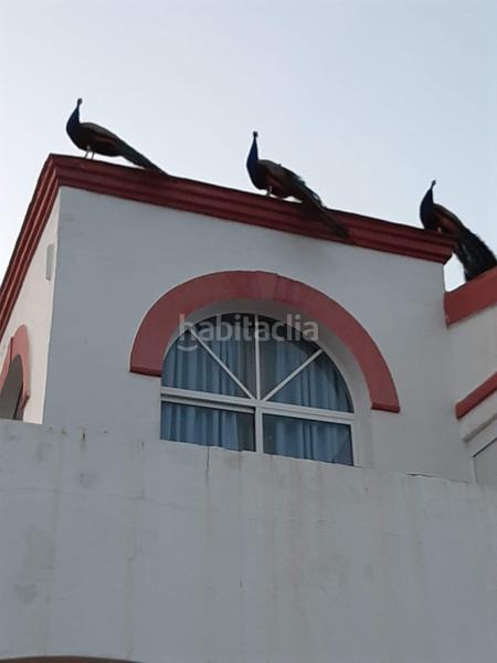 Foto 0249f55e-0cd2-4368-9646-b69f8e77f0d1. Masia amb calefacció aparcament piscina a Oromana Alcalá de Guadaira