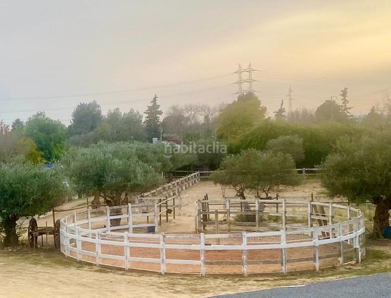 Foto 22112308-1207-4e01-a4bf-5c8b7d8f636f. Masia amb calefacció aparcament piscina a Oromana Alcalá de Guadaira