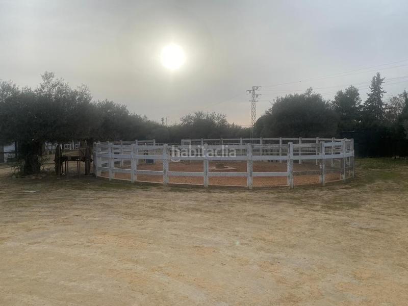 Foto 5531147d-a370-45e0-873e-3ece8175eeaf. Masia amb calefacció aparcament piscina a Oromana Alcalá de Guadaira