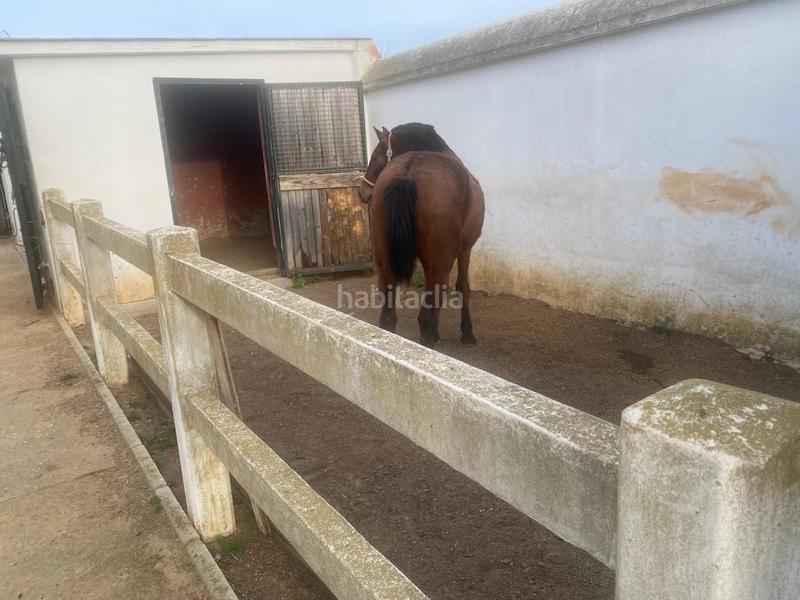 Foto 6e8c1bda-3a6e-4d3d-aef9-0801d3514028. Masia amb calefacció aparcament piscina a Oromana Alcalá de Guadaira