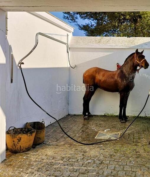 Foto 9de35fbf-4f0a-4267-8f19-785483a97364. Masia amb calefacció aparcament piscina a Oromana Alcalá de Guadaira