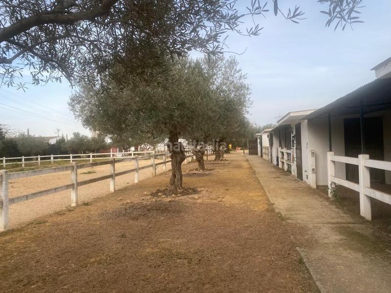 Foto b0de94d8-254e-46f3-8e71-f0071ae6e4b5. Masia amb calefacció aparcament piscina a Oromana Alcalá de Guadaira