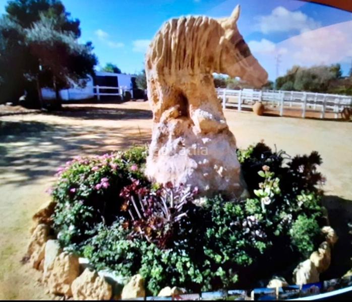 Foto f6098238-e276-4a21-940a-04f4d0f43e76. Masia amb calefacció aparcament piscina a Oromana Alcalá de Guadaira