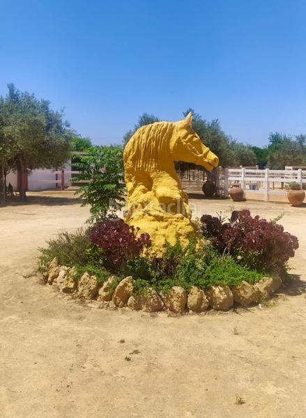 Foto fccbf2e5-d3a2-4aa9-a5b8-f82de3d66131. Masia amb calefacció aparcament piscina a Oromana Alcalá de Guadaira
