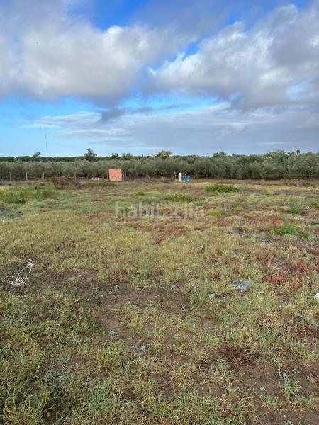 Foto 76093921-5be4-48b8-9e3a-270324fca52a. Finca rústica venta se terreno rustíco en Centro Utrera