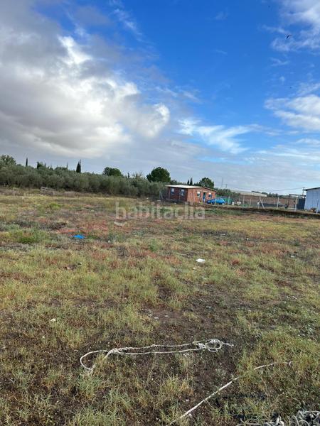 Foto a2927cb7-11b7-4d61-8c93-d467439454dd. Finca rústica venta se terreno rustíco en Centro Utrera