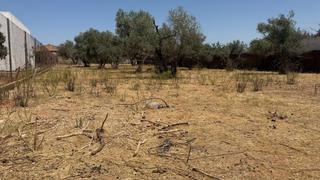 Finca rústica a La Hacienda - Nueva Andalucía. Venta de terreno rustico