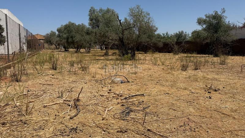 Foto 7bd1d218-7424-4975-9955-527621eda4c4. Finca rústica a La Hacienda - Nueva Andalucía Dos Hermanas