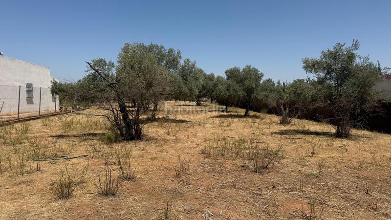 Foto ddb7c178-c305-4f68-84bf-cf07b7a935fc. Finca rústica a La Hacienda - Nueva Andalucía Dos Hermanas