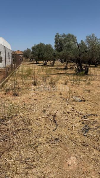 Foto e51fbaef-d7be-4af8-accd-00bb42f6b032. Finca rústica a La Hacienda - Nueva Andalucía Dos Hermanas