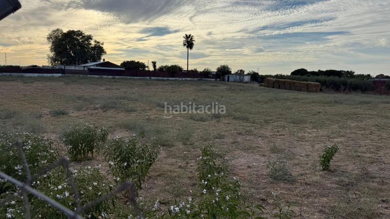 Foto 036525fd-2ffe-4da8-8d55-71e606637d50. Terreno residenziale in Estación - La Fontanilla - El Tinte Utrera