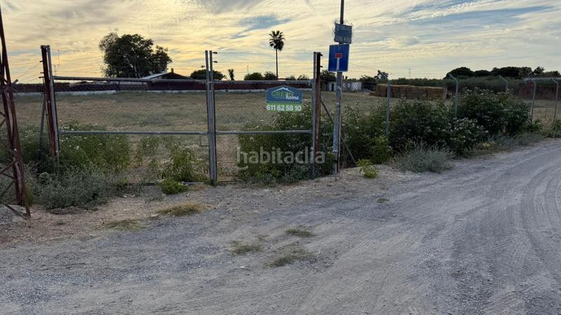 Foto 100e716e-1f85-4c33-b6e1-016d8e974358. Terreno residenziale in Estación - La Fontanilla - El Tinte Utrera