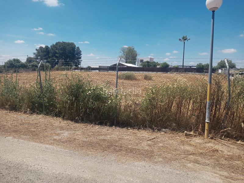 Foto 12fa4d2d-c8a4-4d49-b94e-dd93d5285a6a. Terreno residenziale in Estación - La Fontanilla - El Tinte Utrera