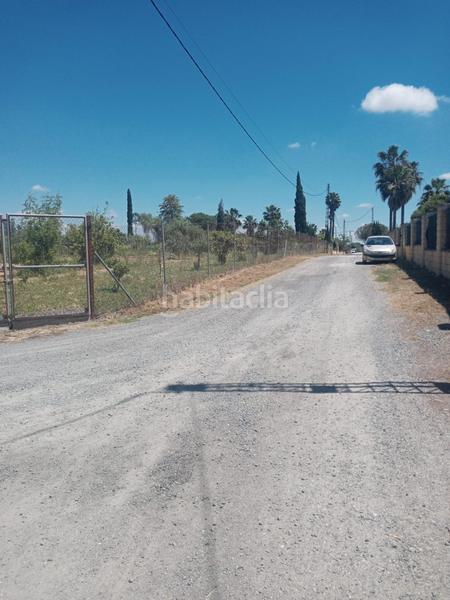 Foto 1ddb15b0-8ec3-4538-8c7b-61127f56a2ae. Terreno residenziale in Estación - La Fontanilla - El Tinte Utrera